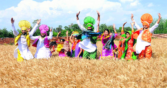 A group of dancers celebrates Baisakhi in a wheat field near Chandigarh on Friday.
