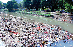 The garbage that had remained hidden while the Sirhind canal was in its full flow has now become visible as the water supply to the canal has been cut to desilt the seven-km stretch passing through Bathinda city