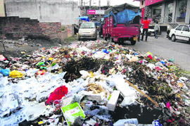Garbage lying in the posh Ranipur colony in Haridwar. Tribune photo: Rameshwar Gaur