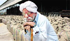A farmer of Kabulpur in a sad mood as his produce, lying open in the grain market, got washed away on Sunday.