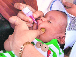 A child is administered polio drops in Ludhiana on Sunday. A total of 1,55,960 children up to the age of five years were given the vaccine.