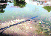Sewage accumulated on a road at Shastri Nagar in Jagraon.