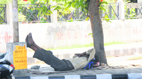 A man takes a nap under a tree near the Mini Secretariat in Karnal.