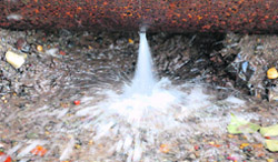 What a Waste Water leaks from a pipe near the railway overbridge in Industrial Area, Phase 1, in Chandigarh