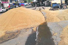 Heaps of rain-hit wheat in the Sirsa grain market on Tuesday