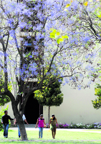 Girls stroll at the PAU after cool breeze swept through Ludhiana on Tuesday.