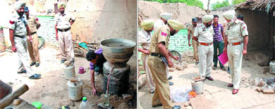 Caught red-handed: Canal police team with the accused Raj Singh alias Raju during a raid on his illegal distillery, producing liquor, in the village Bir Talab on Wednesday. 