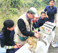 Students being given tips on how to capture monkeys by Dr RS Kishtwaria, an expert in human-animal conflict management at HP Agricultural University, Palampur.