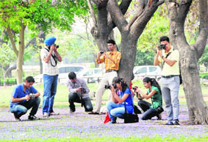 Students participate in a photography competition organised by the Directorate of Students Welfare (PAU) in Ludhiana on Wednesday. 