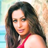 Sizzling act: Kashmera Shah