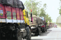 Trucks stuck in a traffic jam on the main road of Silani gate in Jhajjar district