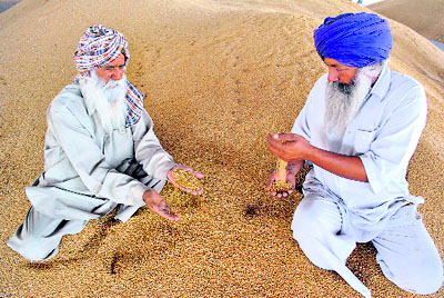 Farmers wait for lifting of their wheat produce at the New Grain Market in Patiala on Thursday. 
