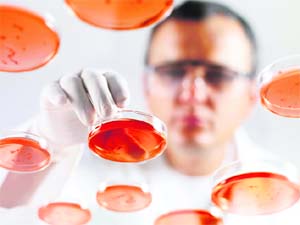 FASCINATING FIELDS: Biochemists and biophysicists are contributing to advances in a wide variety of areas
