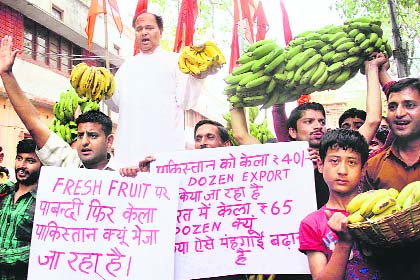 Shiv Sena activists stage a protest against export of fruits to the Pakistan-occupied Kashmir, in Jammu on Friday. 
