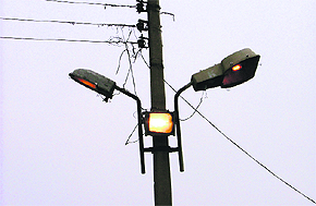 Though there is acute shortage of electricity, streetlights are on even during the day at Nehru Rose Garden in Ludhiana on Friday.