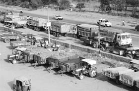 Tractor-trailers and trucks parked beside the Zirakpur-Solan highway at Baltana
