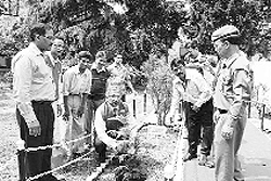 SBI Chandigarh Circle GM (NW-II) SK Chaudhuri plants a sapling on the SBI premises at Chamba