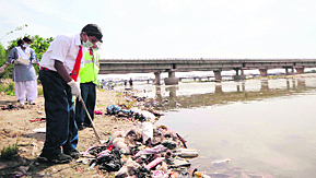 Students of BCM Arya Model School and volunteers clean the banks of the Sutlej in Ludhiana.