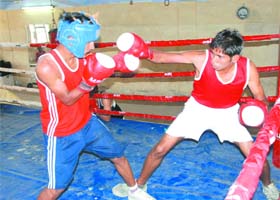 A boxing selection trial in progress at the Multi-purpose Stadium in Bathinda on Sunday
