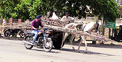 A person on cart putting lives in danger by taking iron bars without any safety