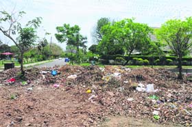 Garbage lies scattered at a greenbelt in Sector 8 of Chandigarh