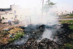 BAN UP IN SMOKE: Garbage being burnt in the open near the Medical Crossing in Rohtak
