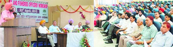 Financial Commissioner (diaries) addresses a gathering during a workshop on fisheries and dairy technologies at GADVASU in Ludhiana