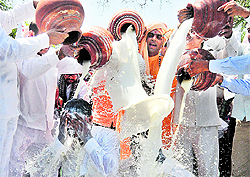 Milk suppliers from Delhi, Punjab and western Uttar Pradesh pour milk on their leaders during a protest in New Delhi on Wednesday. They were protesting against the decision of firms manufacturing milk products to reduce the purchase price of milk. They also demanded MSP for milk