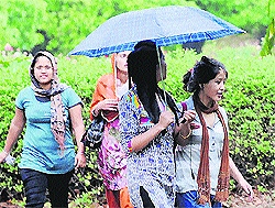 Girls take a stroll at Panjab University, Chandigarh, on Thursday. 