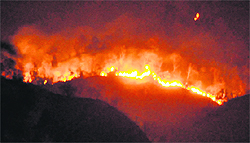 A major fire erupted in the Chandi Devi mountain area where the shrine of Mata Chandi Devi is located