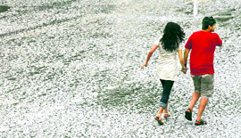 Hail and rain have lashed many parts of the state during the past 24 hours.