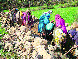 Women workers have been involved in laying of a road under MGNREGA in Mahore village in Reasi district