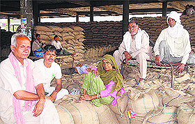 Labourers sit idle at the in New Grain Market as rain hampered the procurement process in Jalandhar on Thursday. 