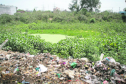 A village pond in Jammu has shrunk as garbage has eaten into its space