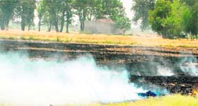 A field at Attari set on fire after the harvest to destroy crop residue, despite a ban on stubble burning by the Punjab and Haryana High Court