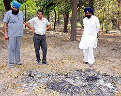 The spot where all the 29 black bucks were cremated in a hurry