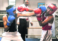 Boxers in action during the Chandigarh State Championship at sector 42 Stadium on Sunday.