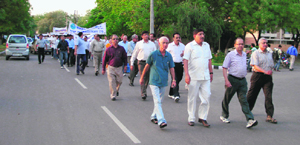 World Veterinary Day: Veterinarians take out a march in Hisar on Saturday.