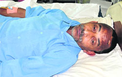 The injured admitted to the PIMS in Jalandhar on Su