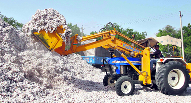 An employee loads cotton onto a truck at a cotton processing unit in Kunthva village, north of Ahmedabad. India will allow cotton exports without any restrictions, Commerce & Textiles Minister Anand Sharma said Monday, lifting a ban imposed last month by the world's second-biggest producer after record overseas sales raised concerns about domestic supplies.