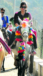 Pilgrims on ponies on way to Vaishno Devi shrine