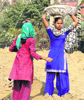 Two women labourers work at a construction site in Jalandhar on Monday. 