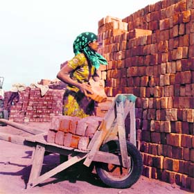 Its another back breaking day at work for faceless labourers like this woman in Amritsar on Tuesday