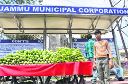 A fruit-seller runs his business right in front of a bus passenger shed at Panama Chowk.