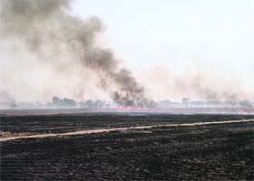 The fire spread over an area of 5 km burning stubble and animal fodder at Rania in Sirsa on Wednesday