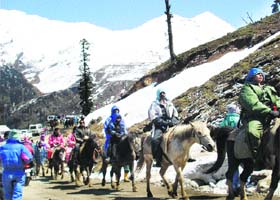 BEAT THE HEAT: Horse-riding holds an attraction for tourists at the Snow Point in Gulaba on the Manali-Rohtang Pass road on Wednesday