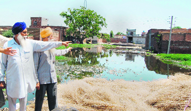 Residents of Guru Ki Wadali point to the sewerage water logged near their homes.