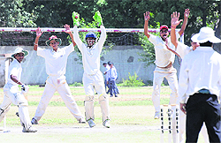 Players in action during a match between Chandigarh and Jalandhar at DAV School, Sector 8, Chandigarh, on Thursday