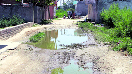 Sewage water on a street at Issa Nagar in Ward No 1 in Jalandhar.