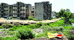 Residential area in Ward No 2